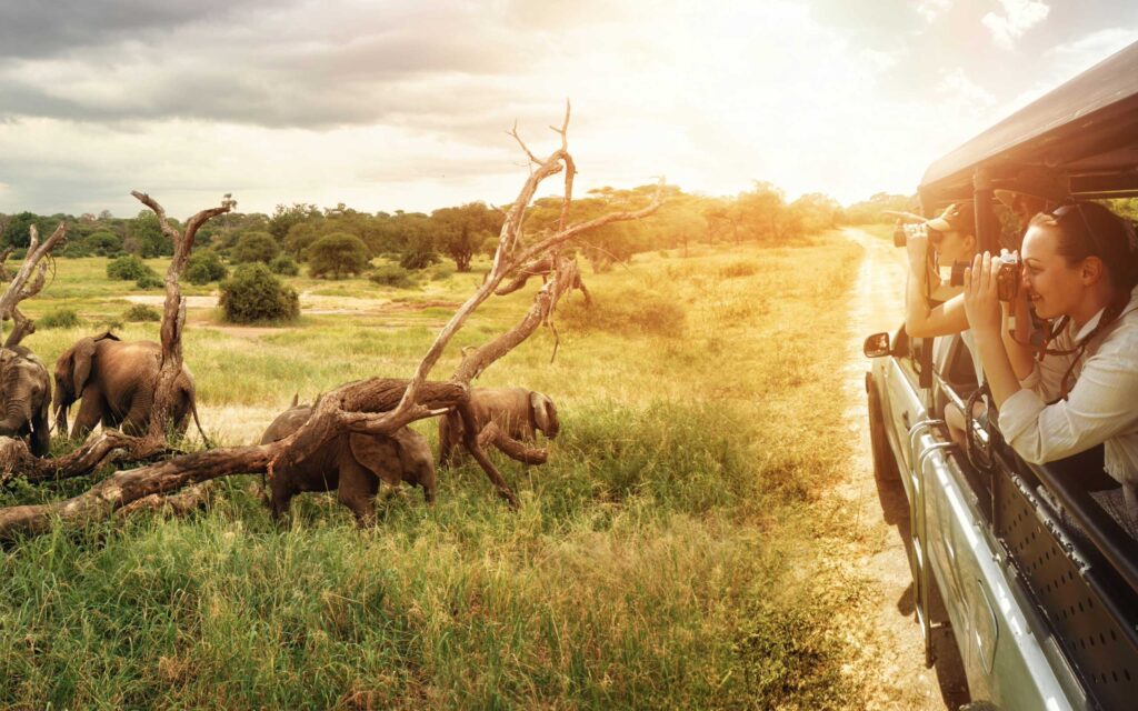 Sri Lanka Two Week Itinerary