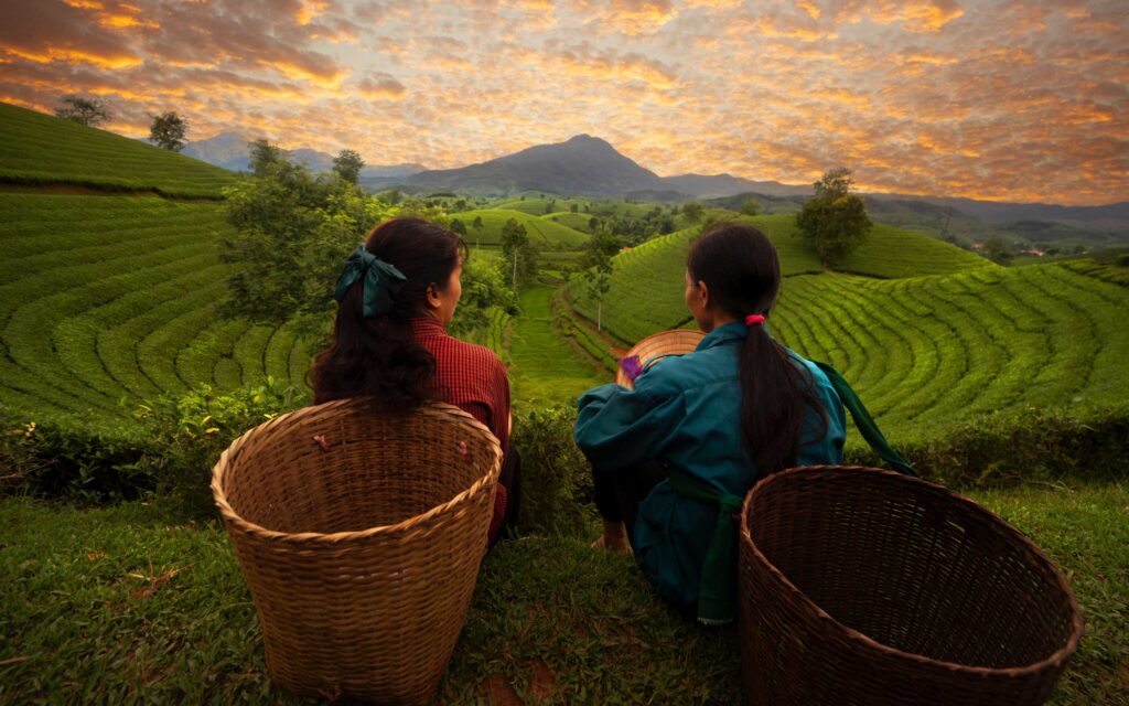 Sri Lanka Holiday - Holidays in Sri Lanka | Sri Lanka Holidays