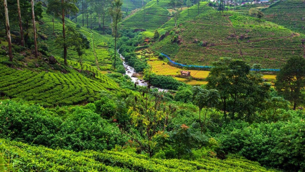 sri lanka visa free countries