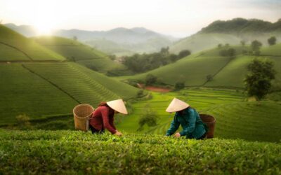 Sri Lanka Two Week Itinerary: Explore the Pearl of the Indian Ocean